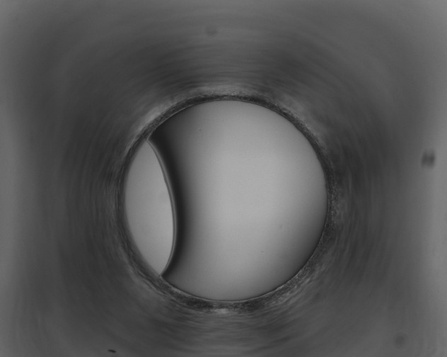 X0000097850111200803140906