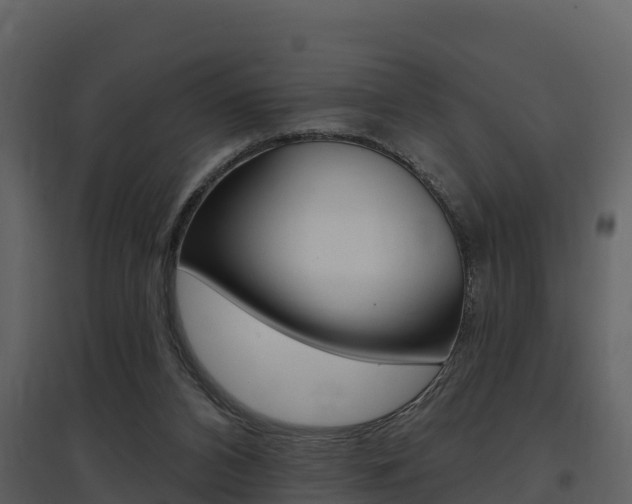 X0000097850112200803140906