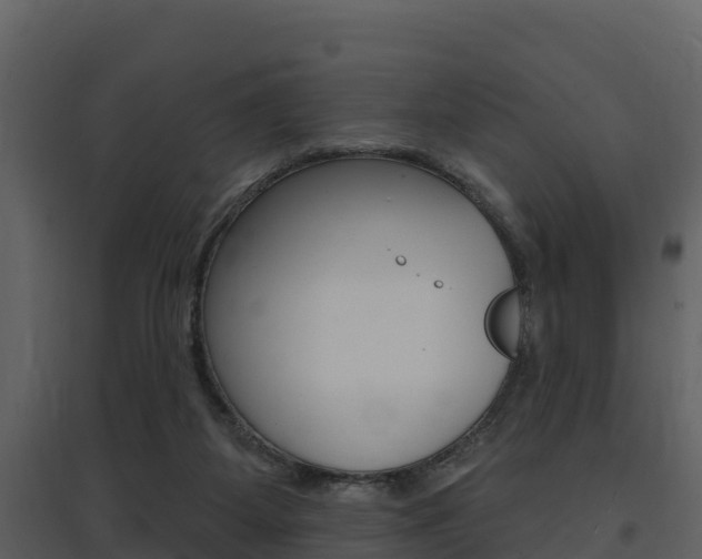 X0000097850115200803140906