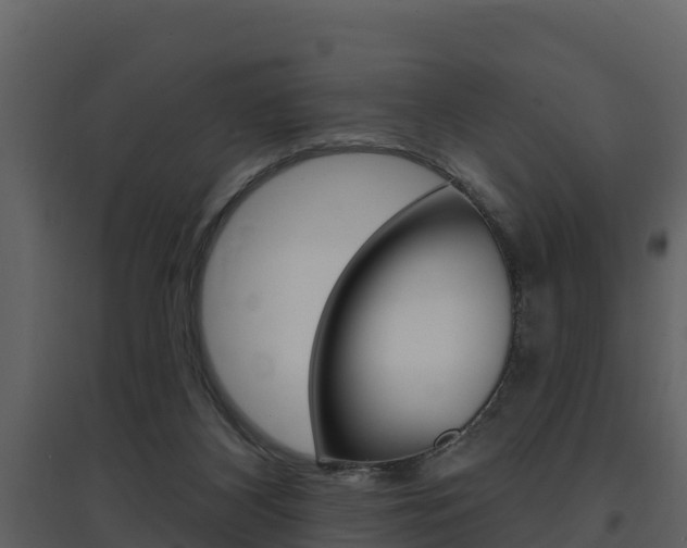 X0000097850116200803140906