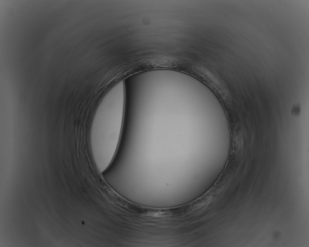 X0000097850117200803140906
