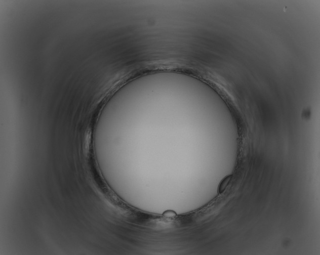 X0000097850118200803140906