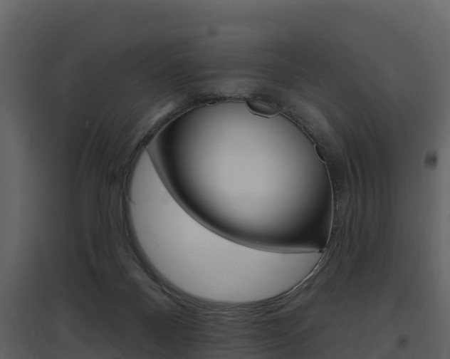 X0000097850120200803140906