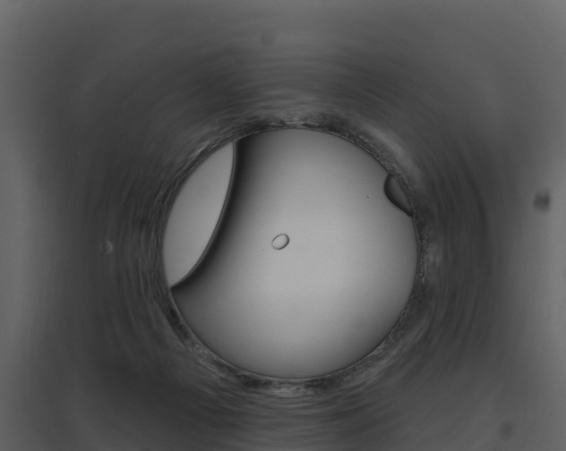 X0000097850121200803140906