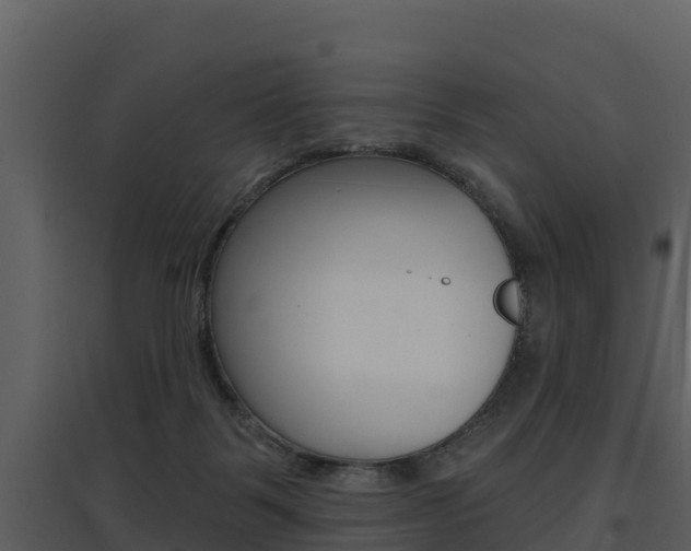 X0000097850123200803140906