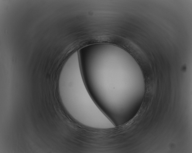 X0000097850124200803140906