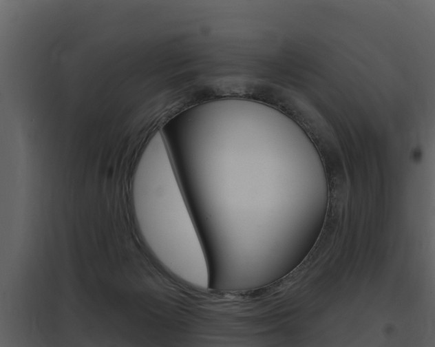 X0000097850125200803140906