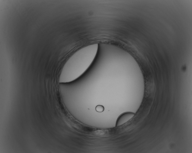 X0000097850126200803140906