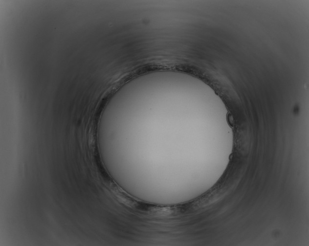 X0000097850131200803140906