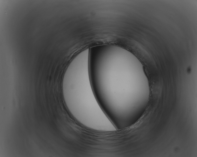 X0000097850132200803140906
