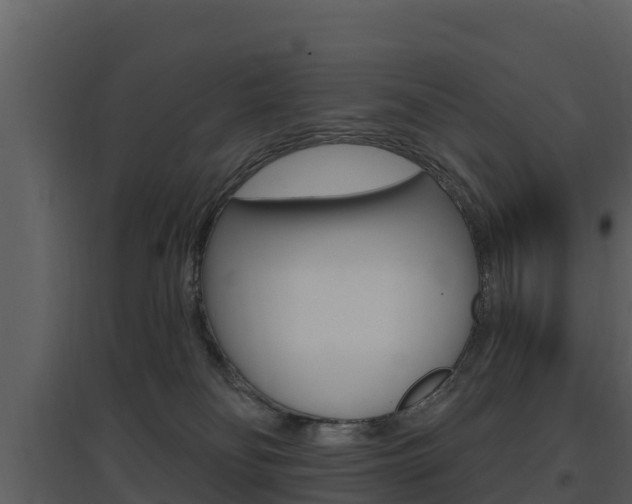 X0000097850134200803140905