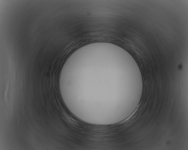 X0000097850136200803140905