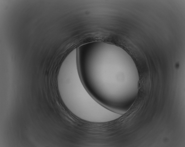 X0000097850137200803140905