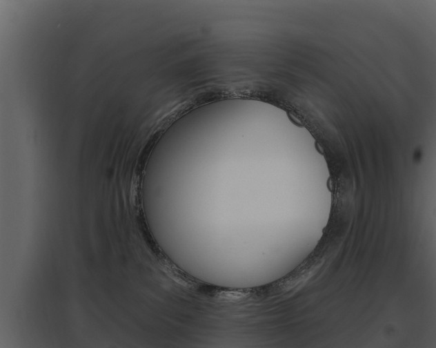 X0000097850139200803140905