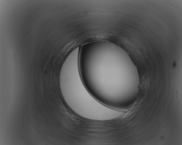 X0000097850140200803140905