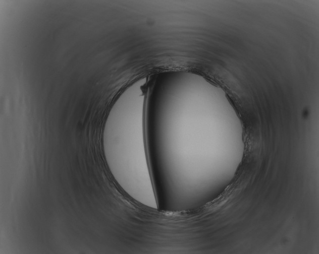 X0000097850141200803140905