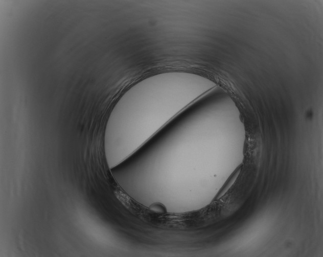 X0000097850143200803140905