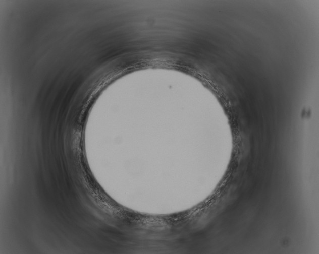 X0000097850146200803140905