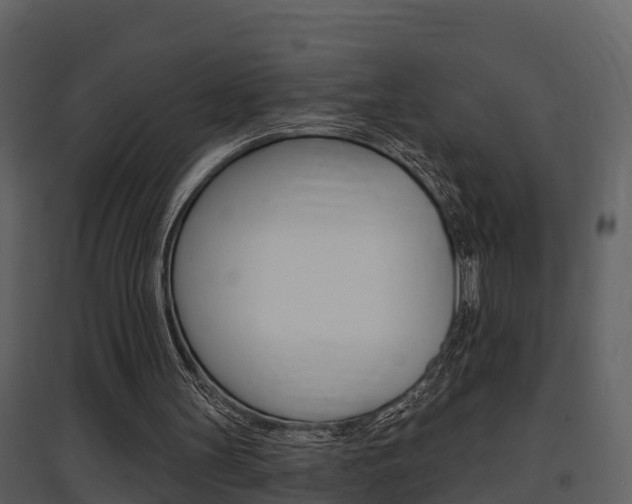 X0000097850147200803140905