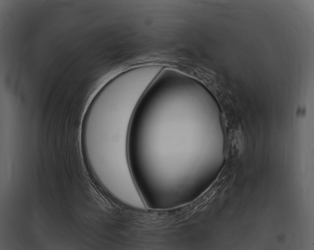 X0000097850148200803140905