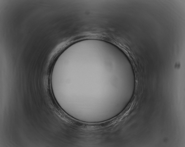 X0000097850149200803140905