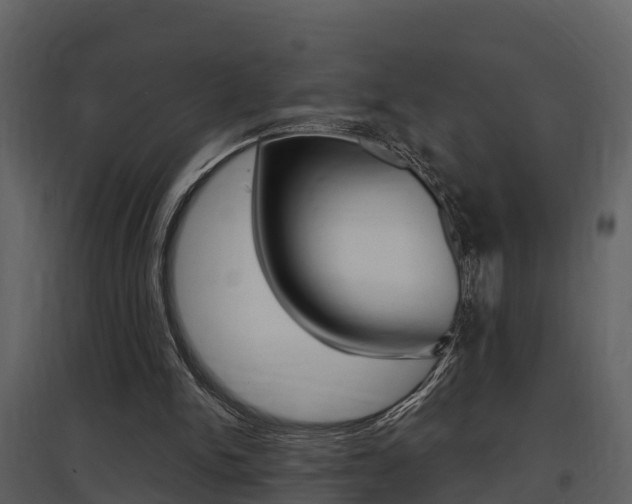 X0000097850150200803140905