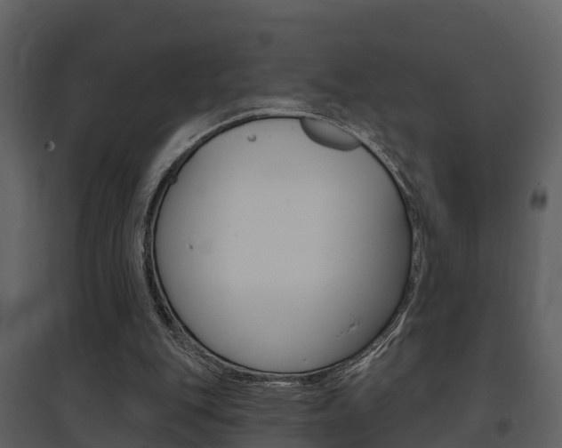 X0000097850151200803140905