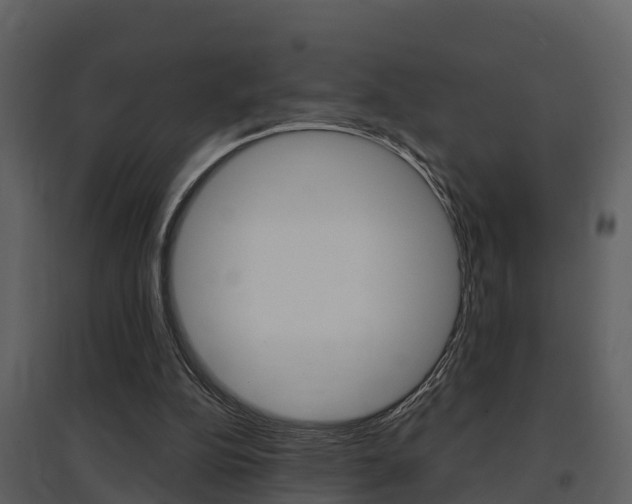 X0000097850152200803140905