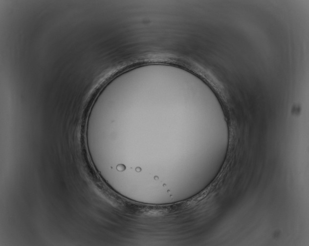 X0000097850155200803140905