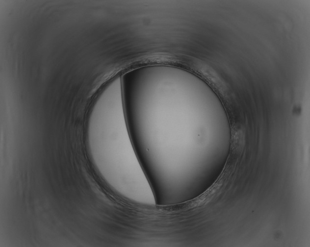 X0000097850158200803140905