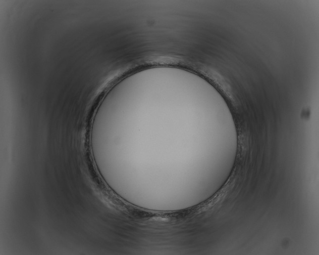 X0000097850159200803140905