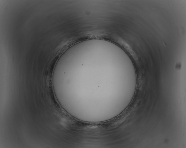 X0000097850161200803140905