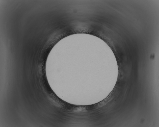 X0000097850162200803140905