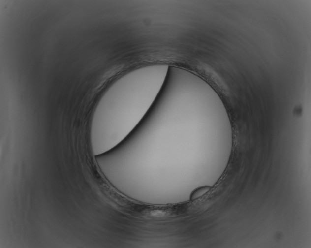 X0000097850163200803140905