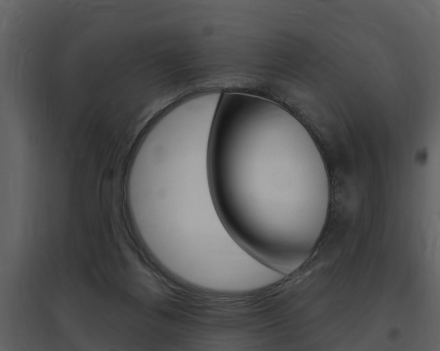 X0000097850164200803140905
