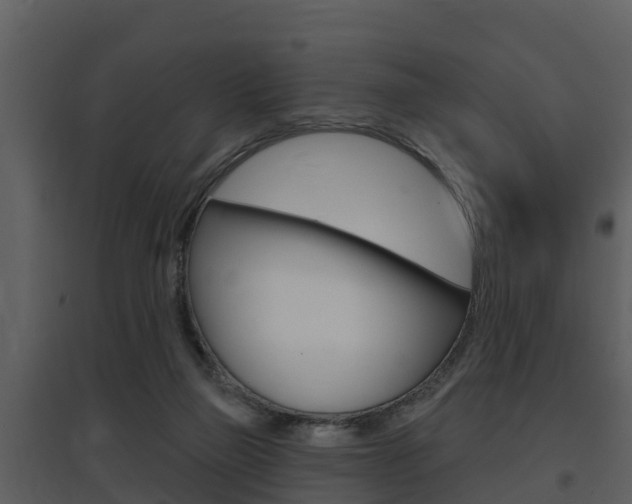 X0000097850165200803140905
