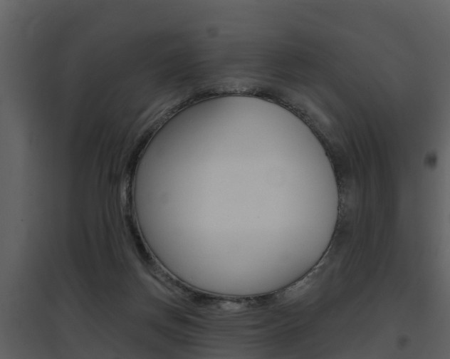 X0000097850166200803140905
