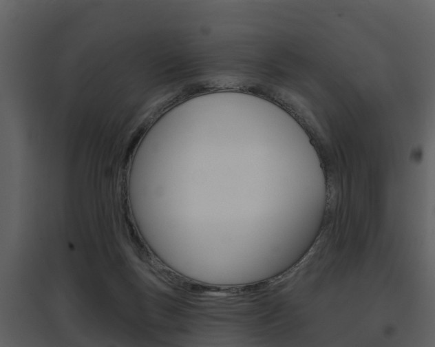 X0000097850167200803140905