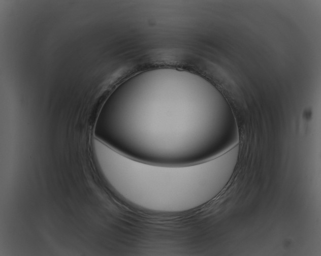 X0000097850168200803140905