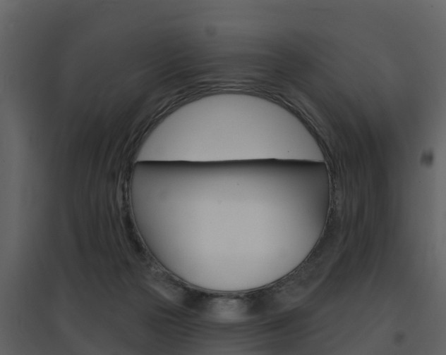 X0000097850169200803140905