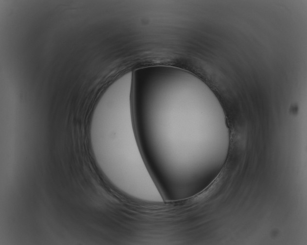 X0000097850170200803140905
