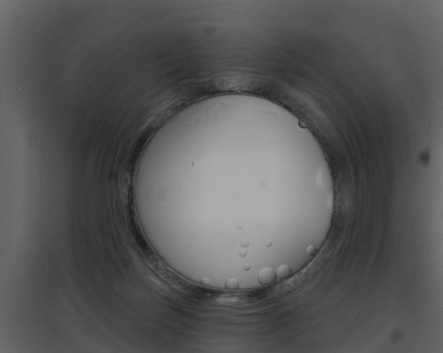X0000097850171200803140905