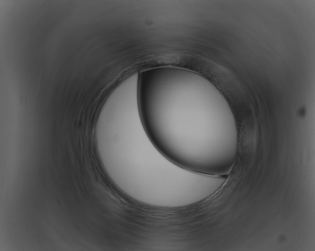 X0000097850172200803140905