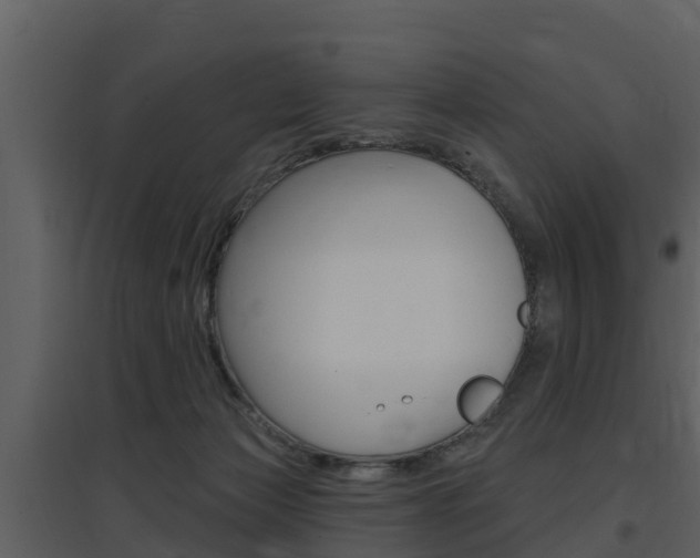 X0000097850173200803140905