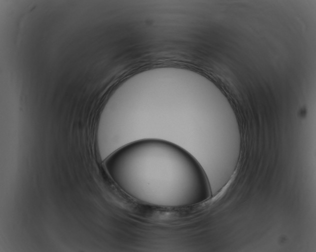 X0000097850174200803140905