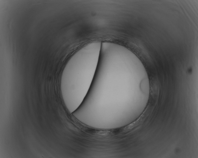 X0000097850175200803140905