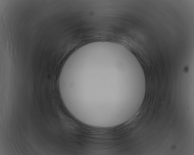 X0000097850176200803140905