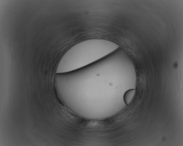 X0000097850177200803140905