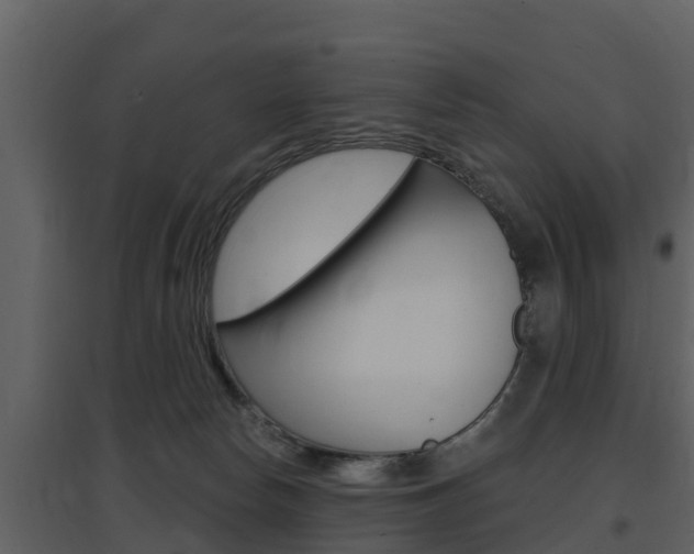 X0000097850178200803140905
