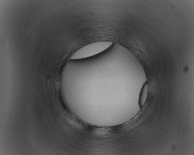 X0000097850179200803140905